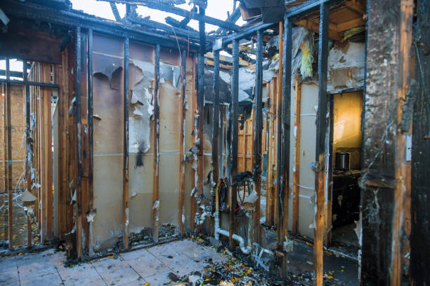 Professional Fire Damage Cleanup technician working in Venice, FL
